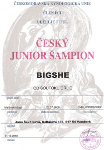 cesky-junior-sampion-bigshe.jpg